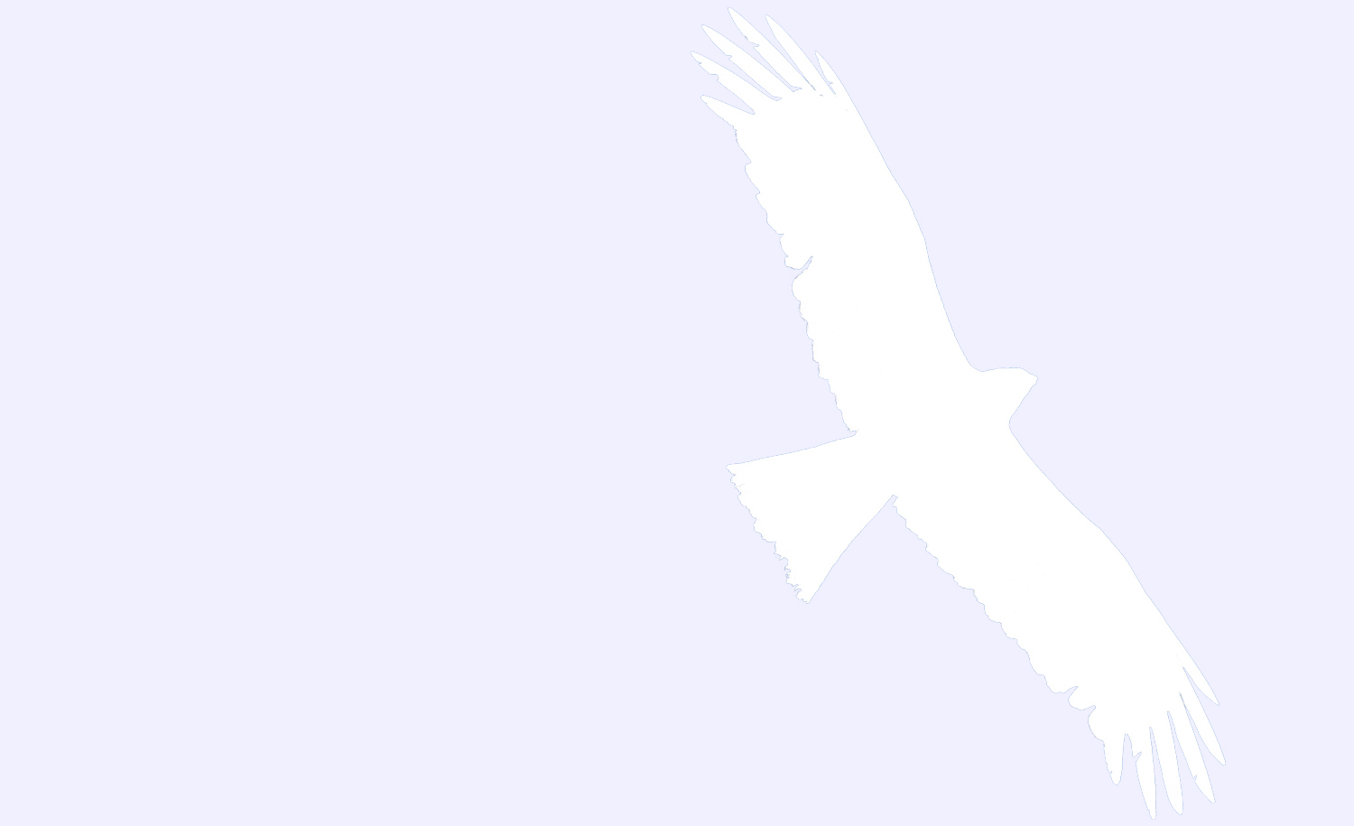 Adler