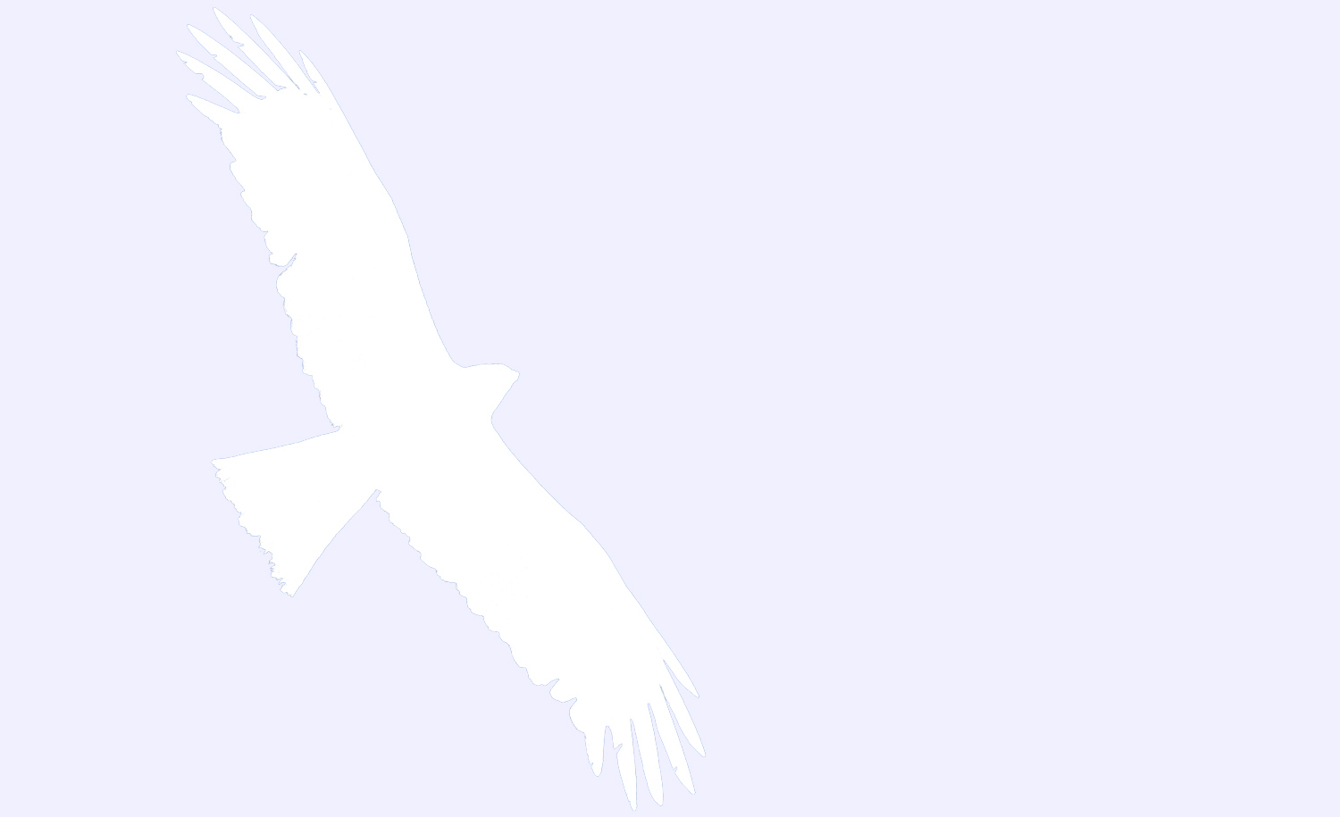 Adler